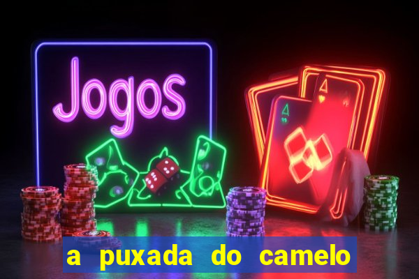 a puxada do camelo no jogo do bicho